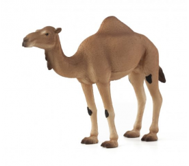 Mojo Animal Planet Velbloud jednohrbý