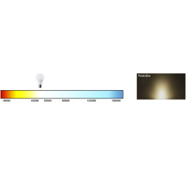 LED žárovka - E27 - G45 - 3W - 260Lm - koule - neutrální bílá