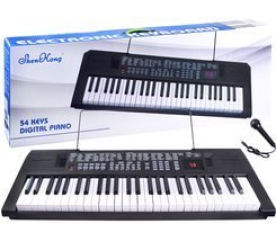 Digitální varhanní piano 54 kláves DZ280