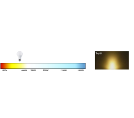 LED žárovka - GU10 - ECOPLANET - 10W - 900Lm - teplá bílá