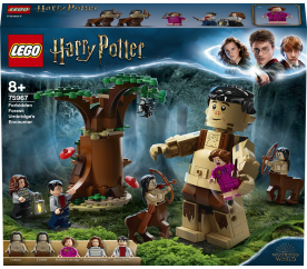 LEGO® Harry Potter™ 75967 Zapovězený les: Setkání