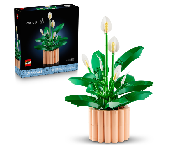 LEGO® Botanicals 11504 Lopatkovec