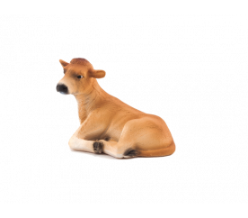 Mojo Animal Planet Jersey tele ležící