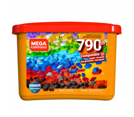 Mega construx kid
