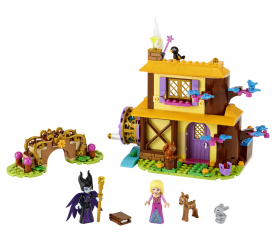Lego Disney Princess Lesní chata