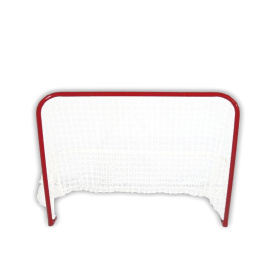 Spartan Hokejová branka STREETHOCKEY 50"